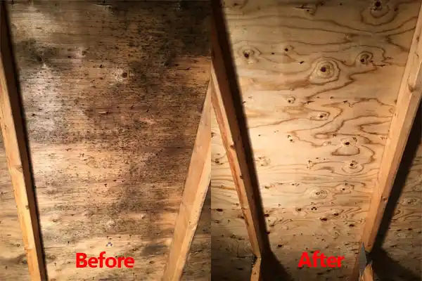 water damage restoration service Iowa
